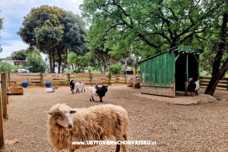 House Sookie – photo 41