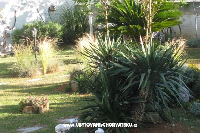 Villa Carrington – photo 3