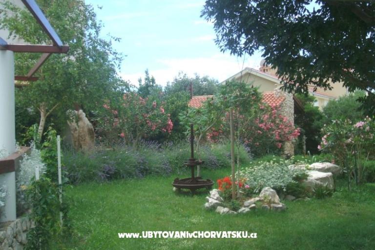 Wawa apartmani – photo 2