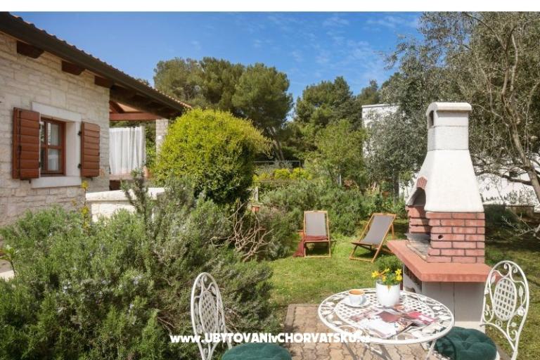 Antonia – photo 10