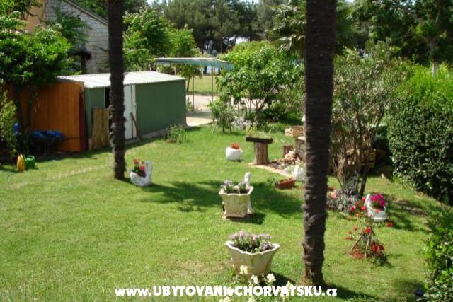 Apartment Živka – photo 5