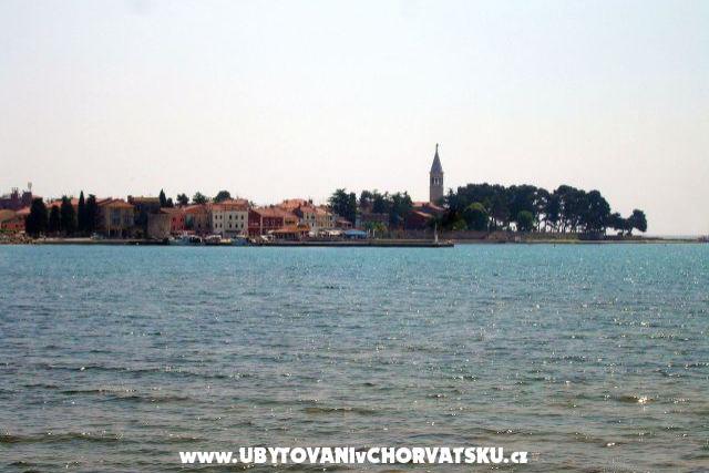 Apartment Živka – photo 7