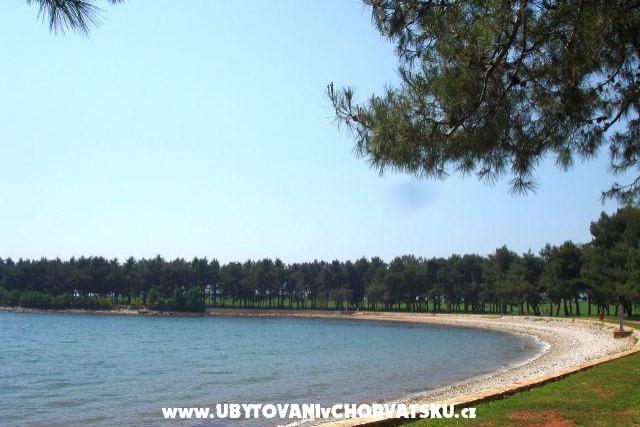 Apartment Živka – photo 8