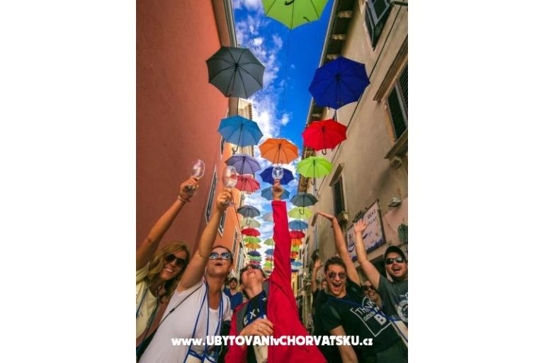 Apartments Tina – photo 14