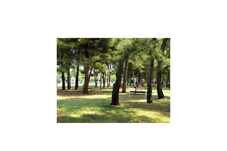 Maena Appartments – photo 6