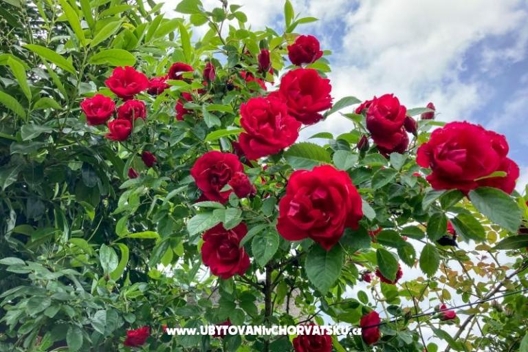 Villa Vienna – photo 25