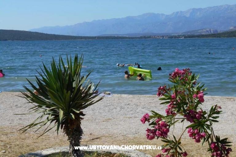 Apartment Dedi – photo 9