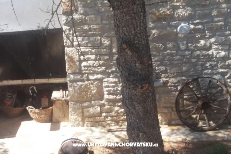 Apartments Skrivena  – photo 12