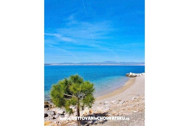 Apartments Luka – photo 15