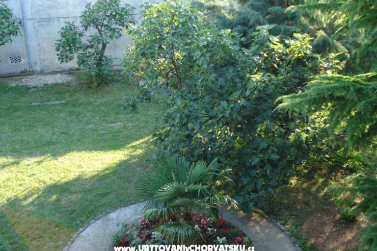 Vacation house  Nada – photo 7