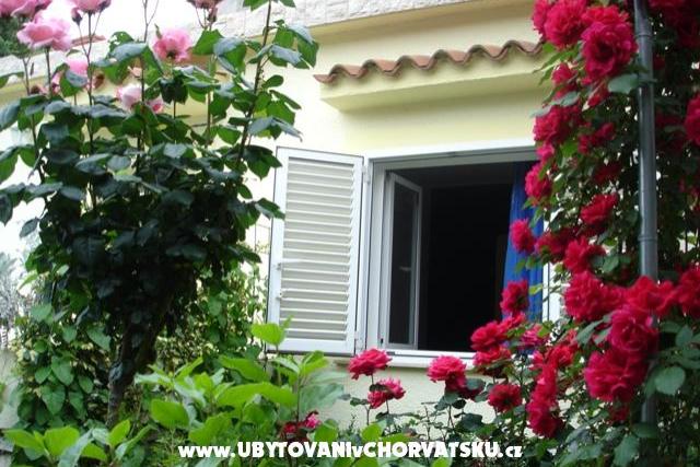 Apartments Piskulic – photo 8