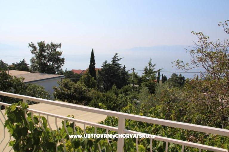 Apartments Pavica  – photo 6