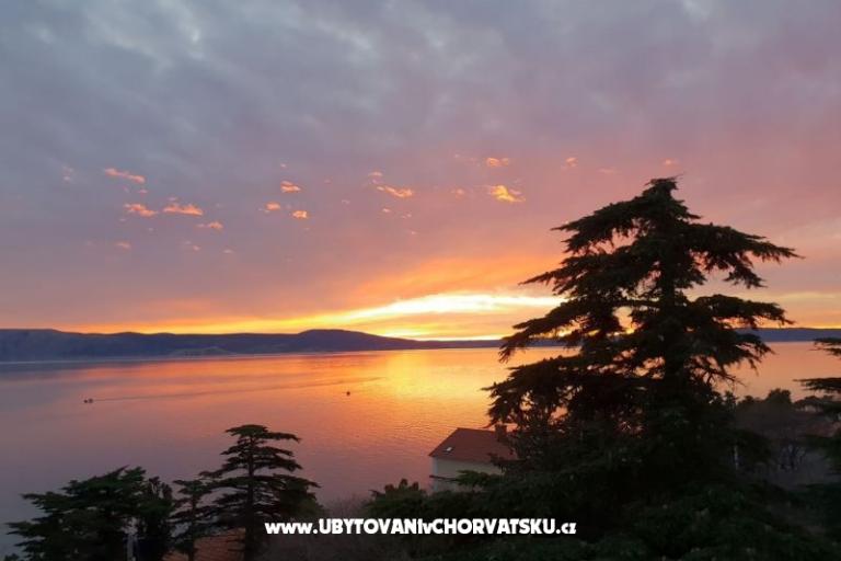 Apartments Villa Laurus – photo 12