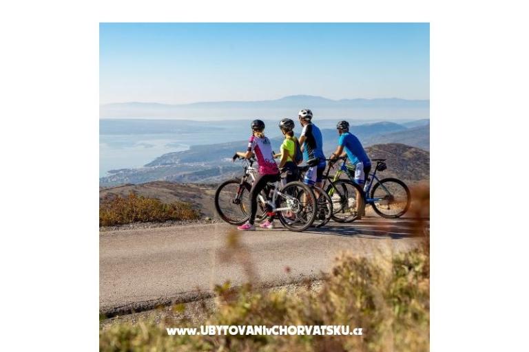 Apartments Sokolić – photo 16