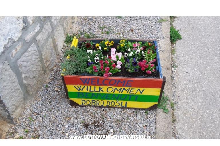 Holiday home Universum – photo 10