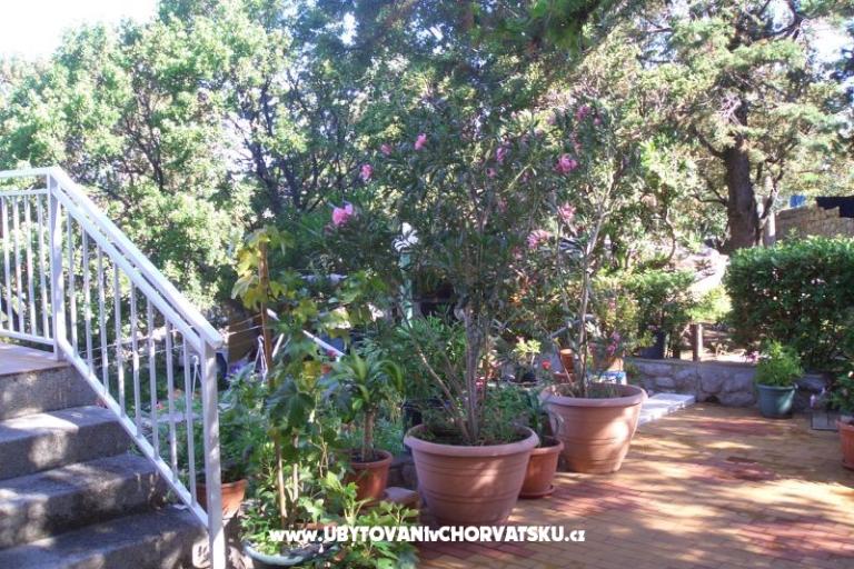 Studio Apartments Klenovica – photo 11