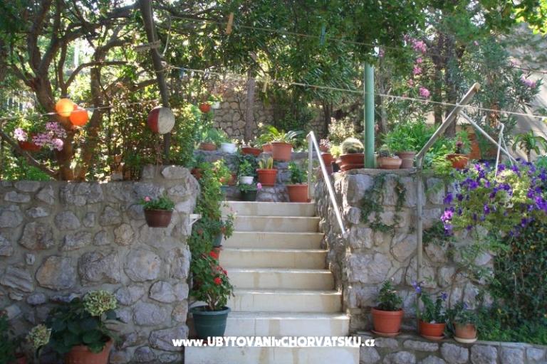 Studio Apartments Klenovica – photo 12