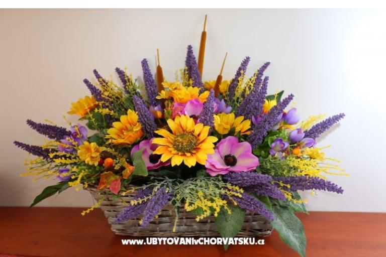 Sunset House – photo 4