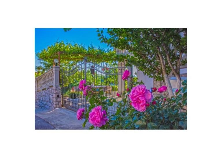 Vila Mira – photo 6