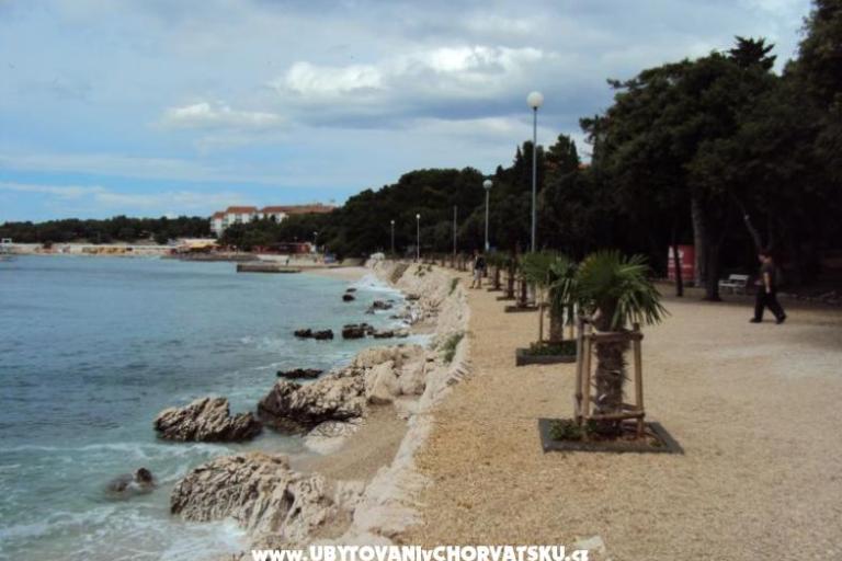 Zeleni gaj rooms &amp; apartment – photo 2