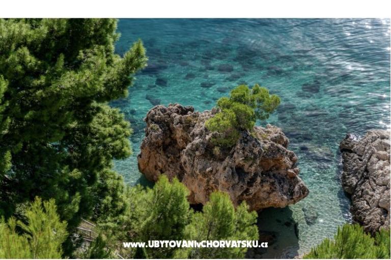 Villa Jana – photo 18
