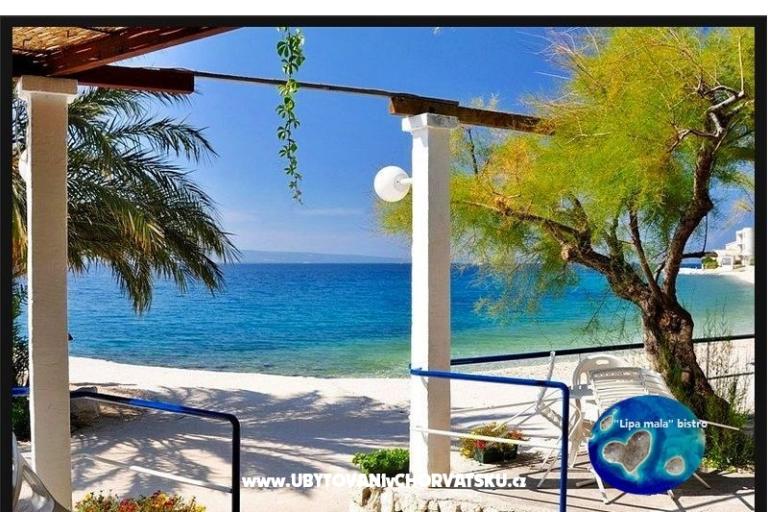 u2 adria – photo 12