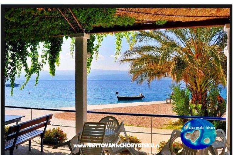 u2 adria – photo 13