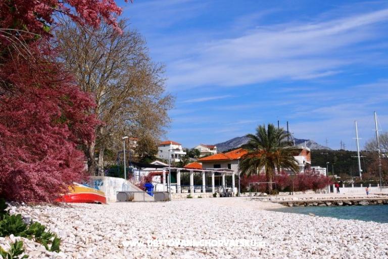 u2 adria – photo 4