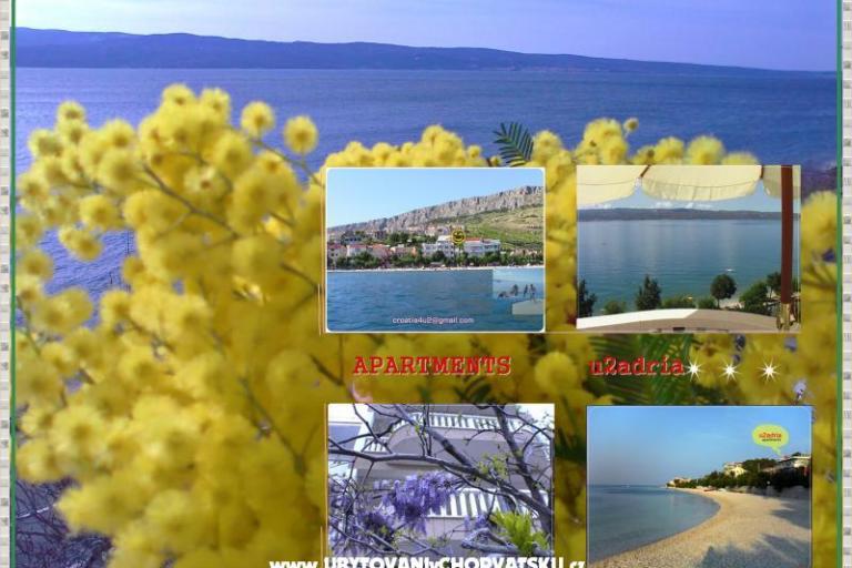 u2 adria – photo 6