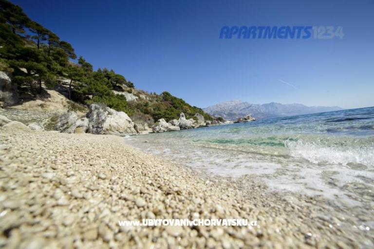 Apartments 1234 – photo 11