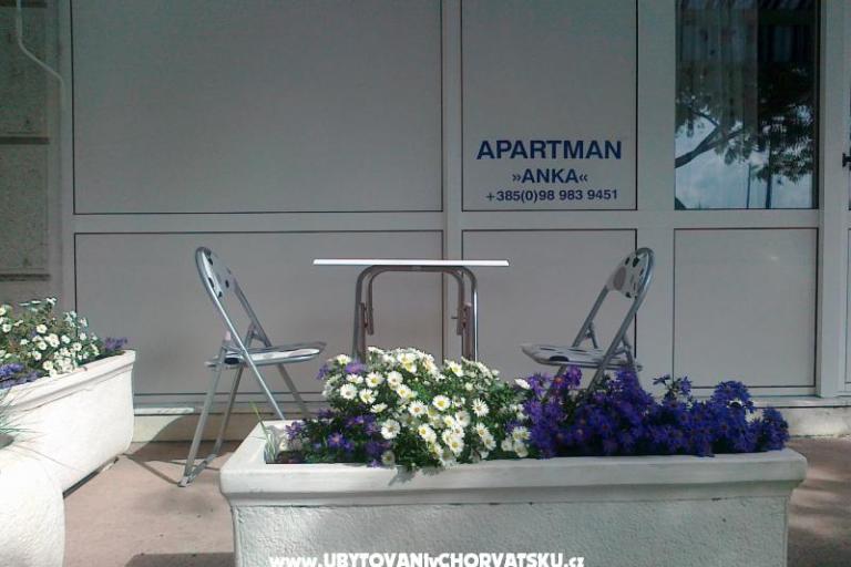 Apartment ANKA S. – photo 3