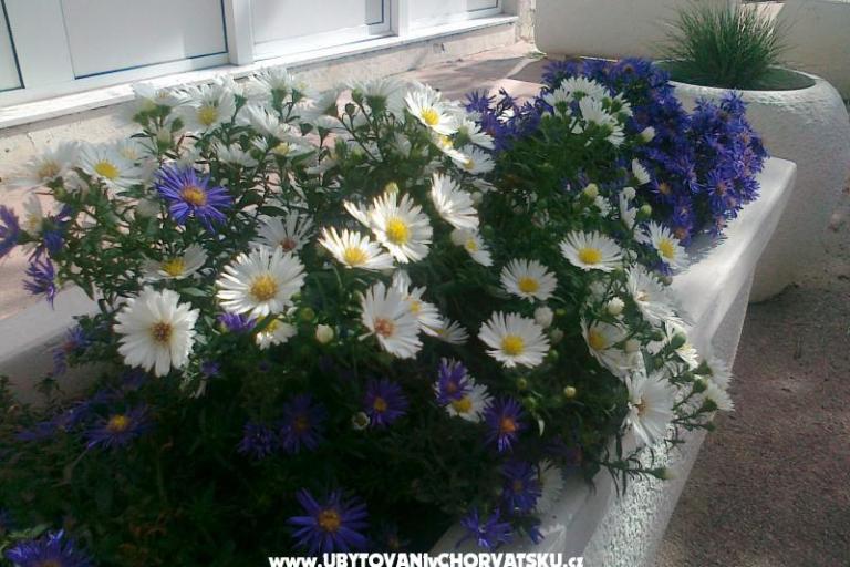 Apartment ANKA S. – photo 8