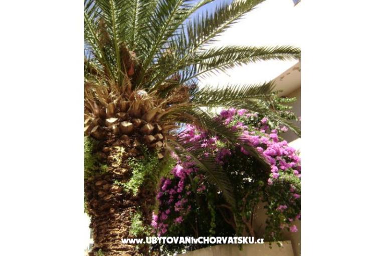 Apartment Mia – photo 11