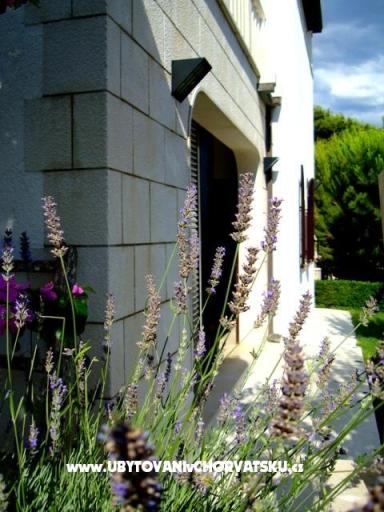 Apartment Mimice – photo 2