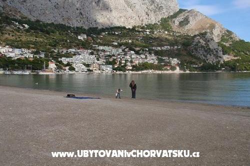 Apartment Pavković **** – photo 16