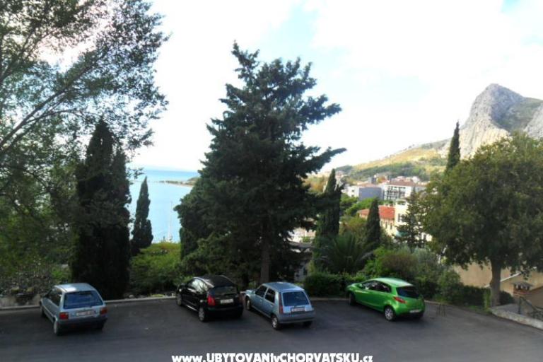 Apartment Popović – photo 9