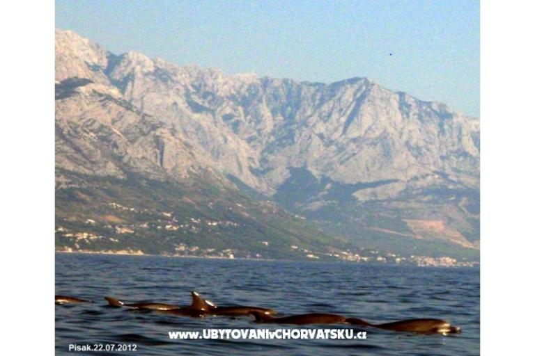 Apartments  MARICA – photo 17