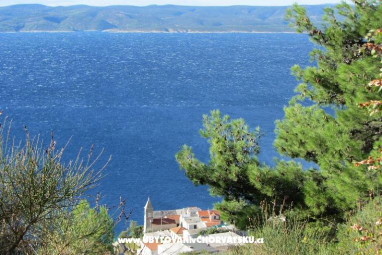 Apartments  MARICA – photo 23