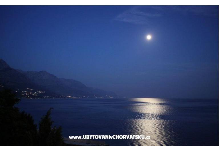 Apartments  MARICA – photo 9