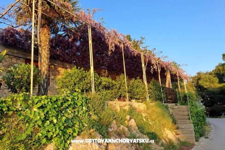 Apartments AGAVA – photo 24