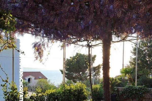 Apartments AGAVA – photo 27