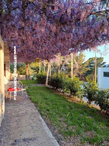 Apartments AGAVA – photo 28