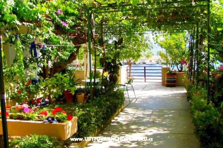 Apartments Ana – photo 2