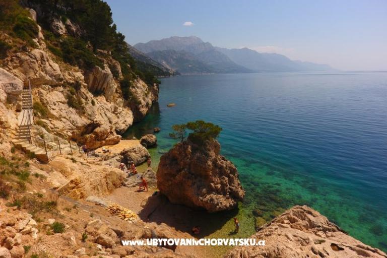  Apartments Andrea – photo 13