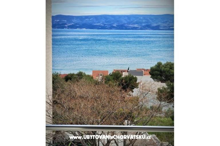 Apartments Andrea  – photo 3