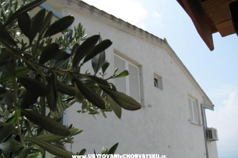Apartments Babić – photo 2