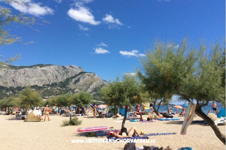 Apartments Banović – photo 8