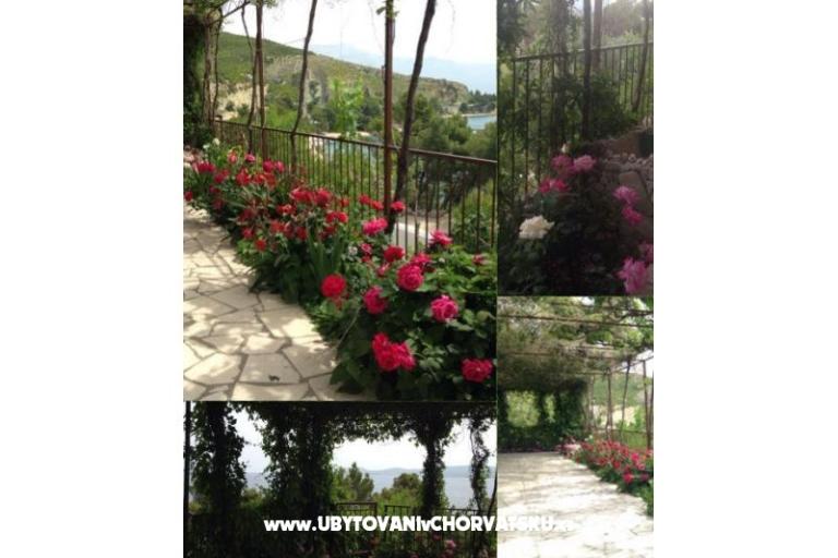 Apartments Blaženka – photo 18