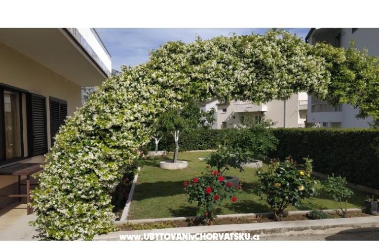 Apartments Danica – photo 5