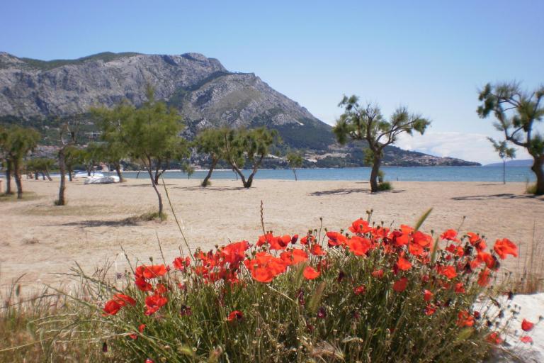 Apartments Danka Čudić – photo 3